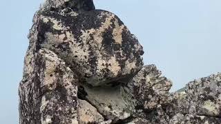 видео: Мегалиты Магаданской области,Постройки прошлого или геология?Тайны цивилизации, Megaliths of Magadan картинка: Мегалиты Магаданской области,Постройки прошлого или геология?Тайны цивилизации, Megaliths of Magadan