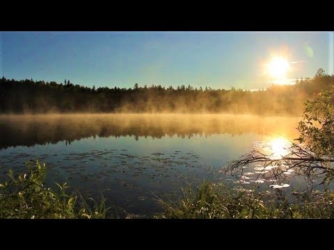 Заповедник «Малая Сосьва»  отметит свой день рождения.