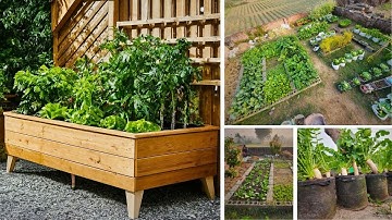 10 high yield vegetables perfect for small gardens!