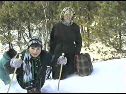 Алешкинский лес лыжная трасса