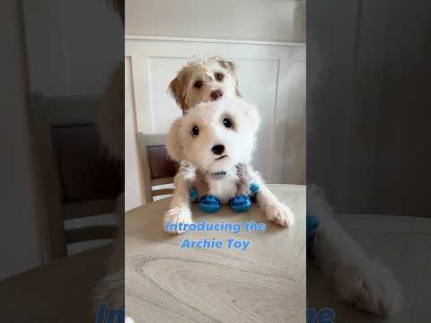 Archie made his own toy!