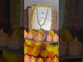 2025 Navaratri Maa Durga | Collinsbrook Farm
