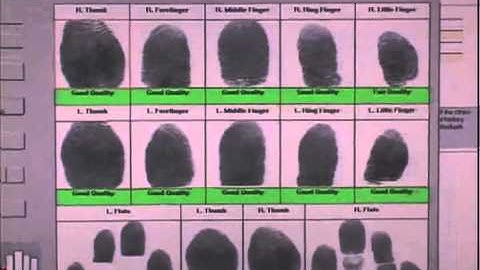 3M Cogent Next Wave Video