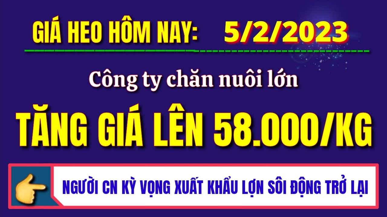 Giá heo hơi ngày hôm nay 5/2/2023 || Một số công ty chăn nuôi lớn tăng ...