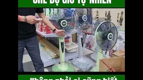 Bật mí về quạt treo tường|Quạt trần|Quạt cây đứng