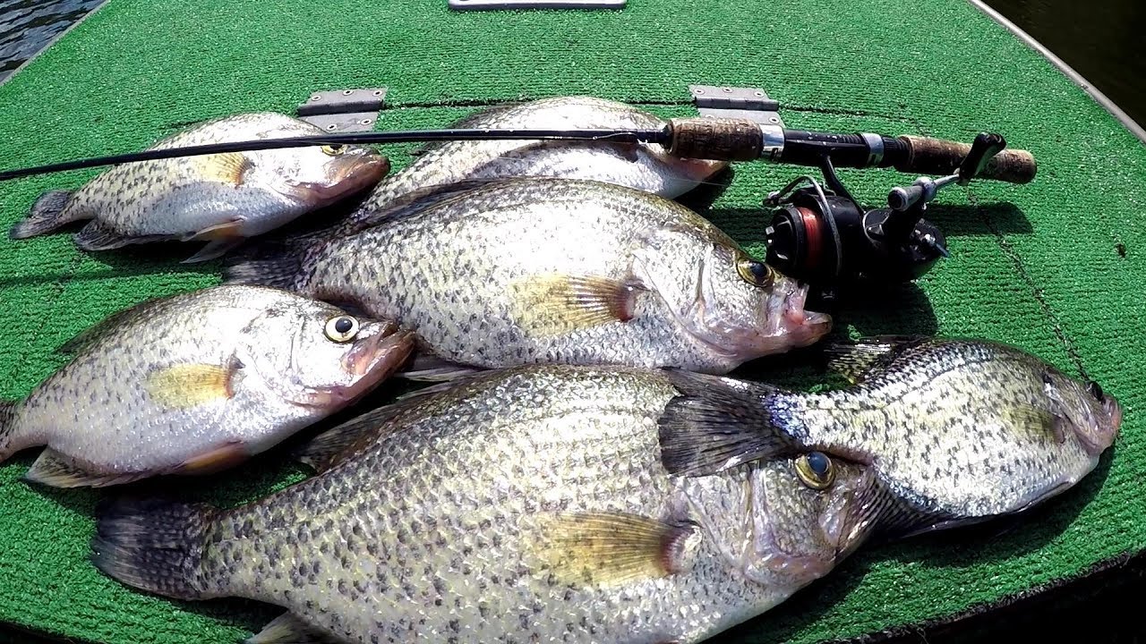 Crappie Fishing With A Bobber and Live Minnows 