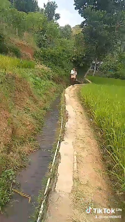 tawuran 1vs1 yang mau komen