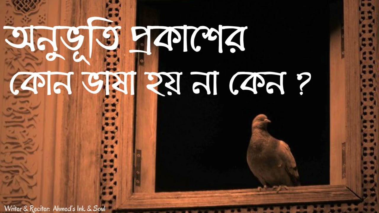 যে অনুভূতির অভিধানে কোন শব্দ নেই | Bengali Audio Story | Emotional Narration & Deep Feelings
