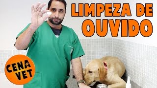 Cena Vet - Limpeza De Ouvido - Cães e Gatos - Como limpar? screenshot 5