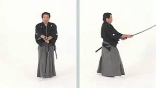cd1 3 Postures 3 11