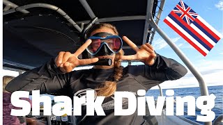 Swimming with Sharks-No Cage! One Ocean Diving, Oahu, Hawaii [4K]