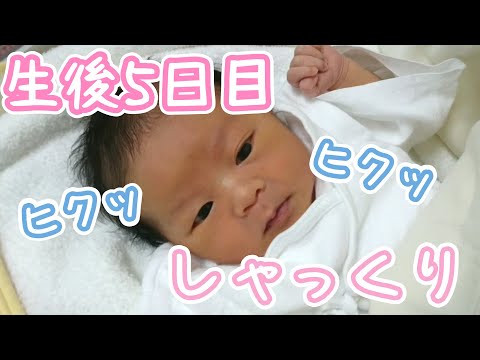 【新生児】お腹の中でしていたしゃっくりを生で見れて感激