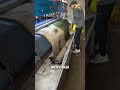 Industrial Carpet Washing Machine #shortvideo
