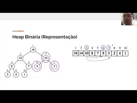 Vídeo: É um heap de árvore binária?