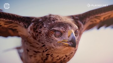 Playkey cloud gaming platform. What is it?