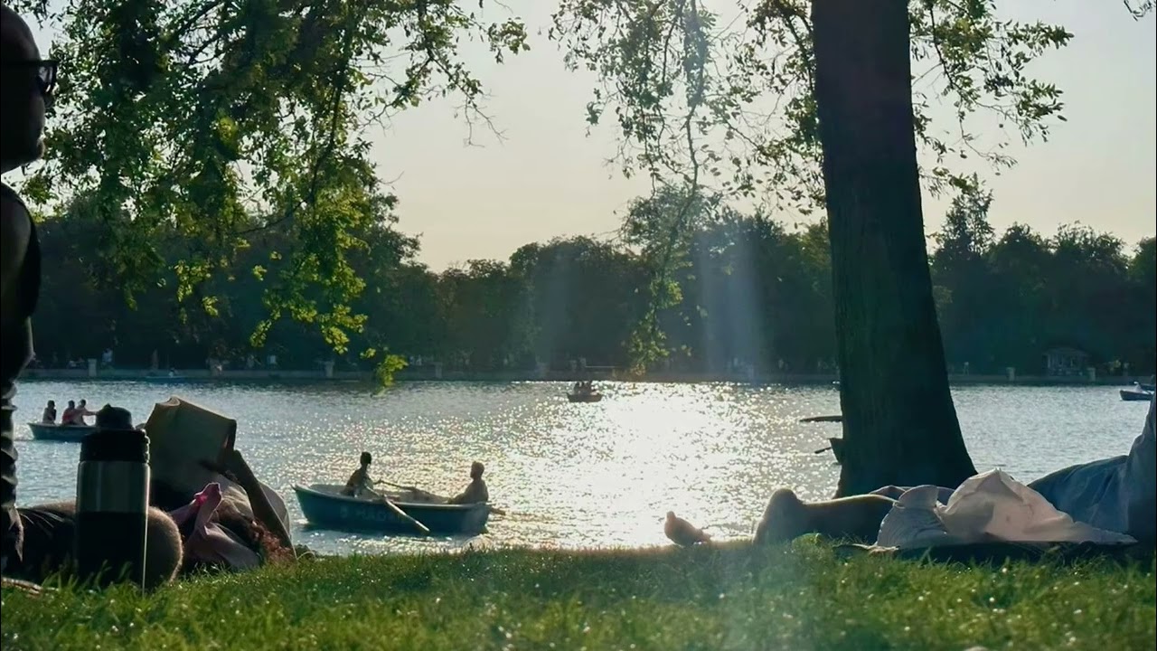 Playlist. Summer Picnic 🧺🏞️☀️