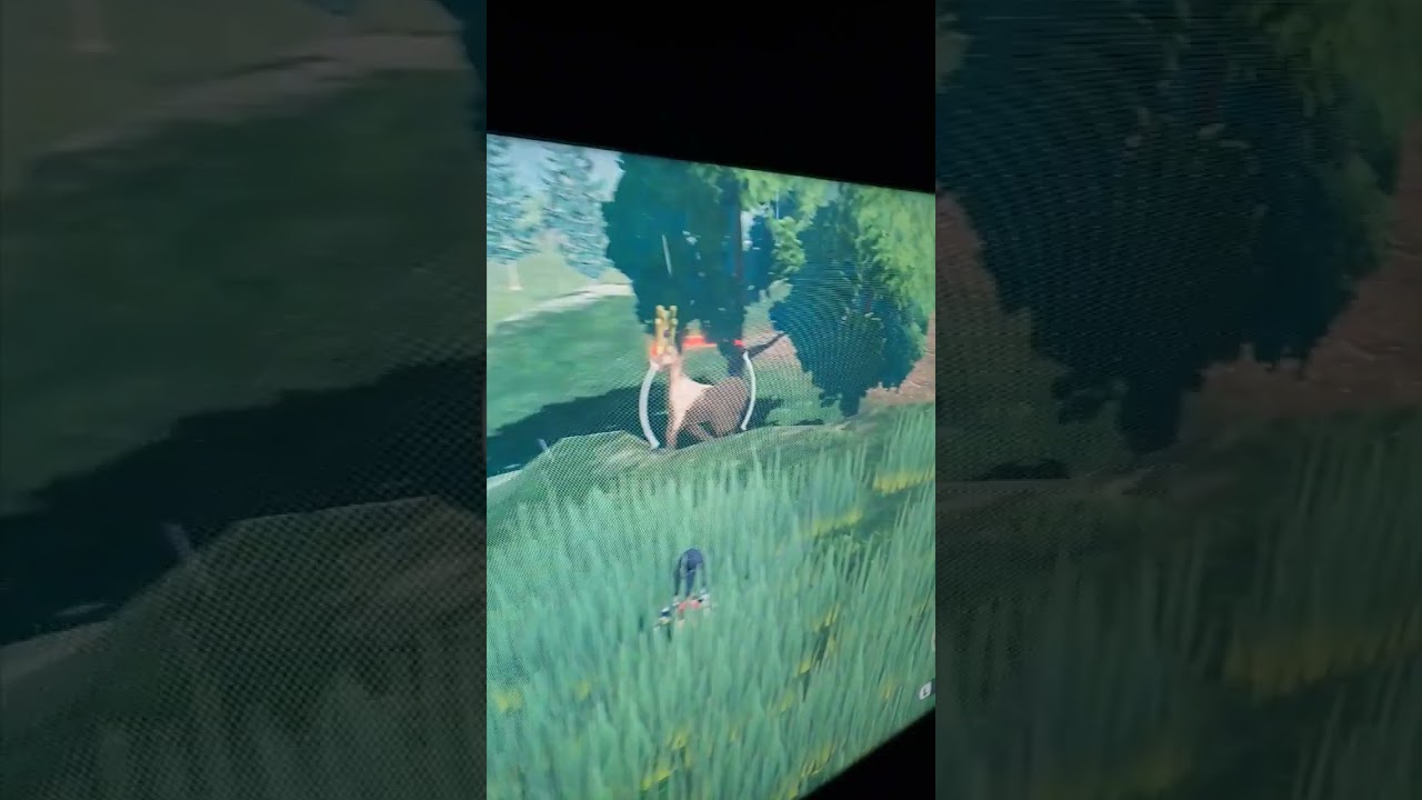 Alpha Stantler Living Its Best Life - 