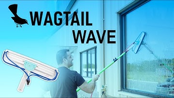 The Wagtail Wave: A Hidden Gem