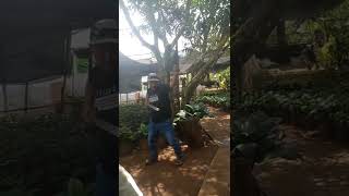 Pedang Shogun 1011...30042