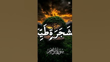 🤲 #خالد_الجليل تلاوة خاشعة من سورة إبراهيم آيات بينات من الذكر الحكيم #اكسبلور#cute