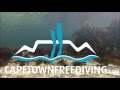 Freediving in cape town