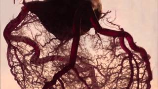 biodesign