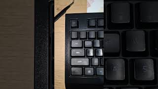 Early Spring Cleaning