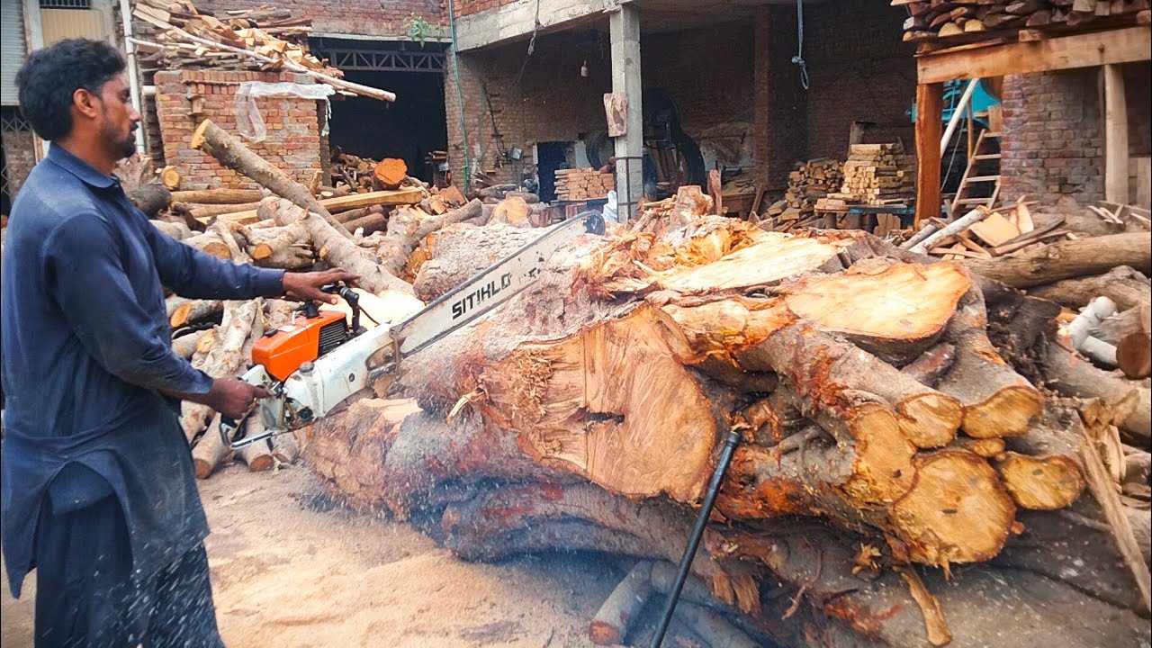 Weight Tree Cutter 4 ton heavy weight tree cutting with chain saw || heavy weight - YouTube