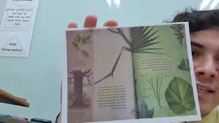 Lesson 13: A Tree is Growing (Story Map-1)