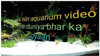 sand soil and gravel which is best for aquarium