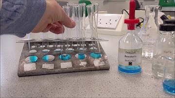 Calibration curve using Benedict