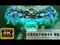 Most amazing creatures  life in macro 8k ultra shorts