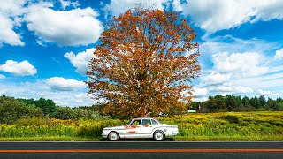 The Sweetness Of September
