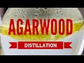 Agarwood distillation, by OudBase.com