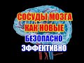 ЧИСТКА СОСУДОВ ГОЛОВНОГО МОЗГА. ЭФФЕКТИВНЫЙ! БЫСТРЫЙ! И БЕЗОПАСНЫЙ МЕТОД