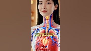 Cá Hồi “Siêu Thực Phẩm” Cho Sức Khỏe Và Sắc Đẹp - Sự Thật Đây!👇#songkhoe| Đỗ Ngọc Diệp