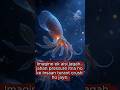 Mariana Trench Secrets 😱 11km Deep | Earth’s Most Terrifying Place # #shortsvideo #shorts