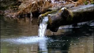 Relaxing sleep music insomnia-strees,relief Relaxing music,Deep Sleeping Music