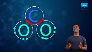 Famous Linear molecules Net Worth