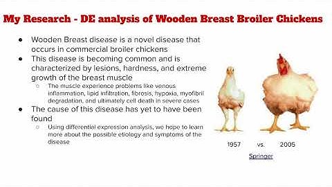Intro to Differential Expression Analysis