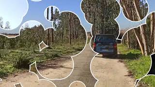 Ria de Aveiro - Parque Temático Molinológico - Moinhos de Azeméis