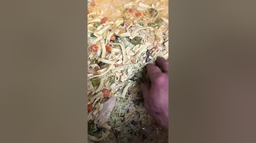 ASMR Food going down a garbage disposal PLEASE SUBSCRIBE