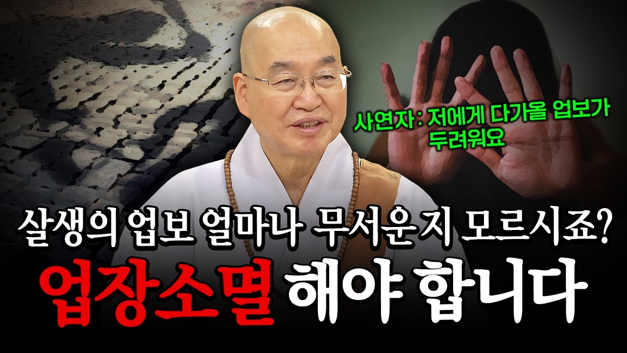 살생의 업보, 얼마나 무서운 지 모르시죠? 업장소멸 해야 합니다!│'법륜스님' 편🙏 [명법문만 모았다! 명중명💡] #법륜스님 #업보 #업장소멸