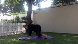 How To Do Bear Plank