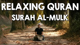 Peaceful Quran Recitation (Surah Al-Mulk) - Ramadan in Quarantine screenshot 1