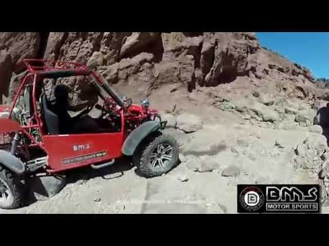 bms 800cc dune buggy