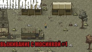 [Mini Dayz] Выживание с Мосинкой #1