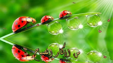 من اذكار الصباح🌸