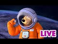 ماشا والدب 👱‍♀️ LIVE STREAM! 🌟👸 سأعطيك أي شيء 🌟👸  Masha and the Bear