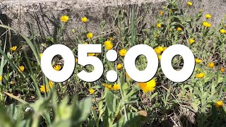 5 Minute Timer with Birds Chirping and Alarm